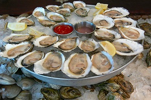 Oyster Bar